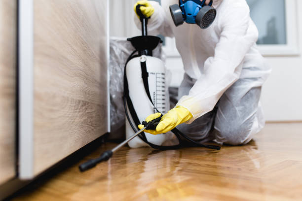 Best Commercial Pest Control Services  in Rio, VA