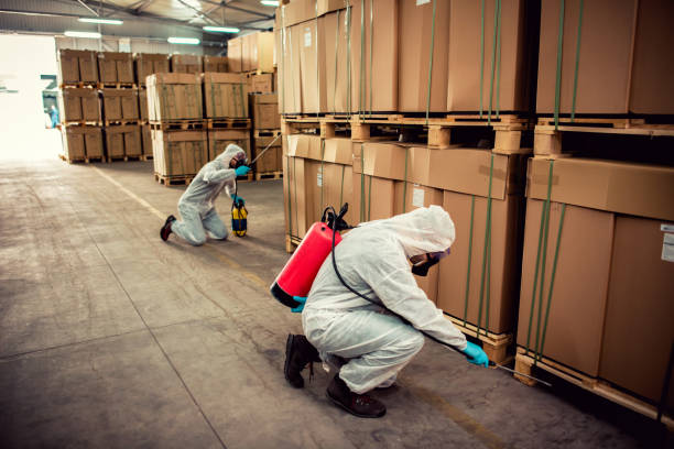 Best Best Pest Control Companies  in Rio, VA