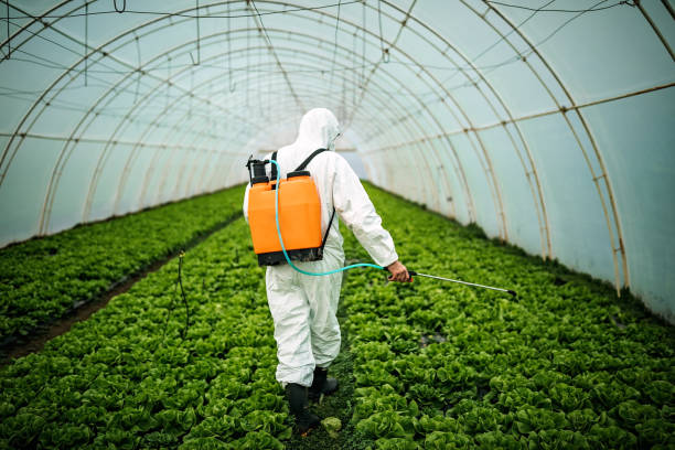 Best Pest Prevention Services  in Rio, VA