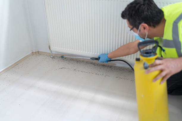 Best Affordable Pest Control Services  in Rio, VA